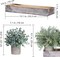 Set of 3 Mini Artificial Eucalyptus & Rosemary Plants in Wooden Planter